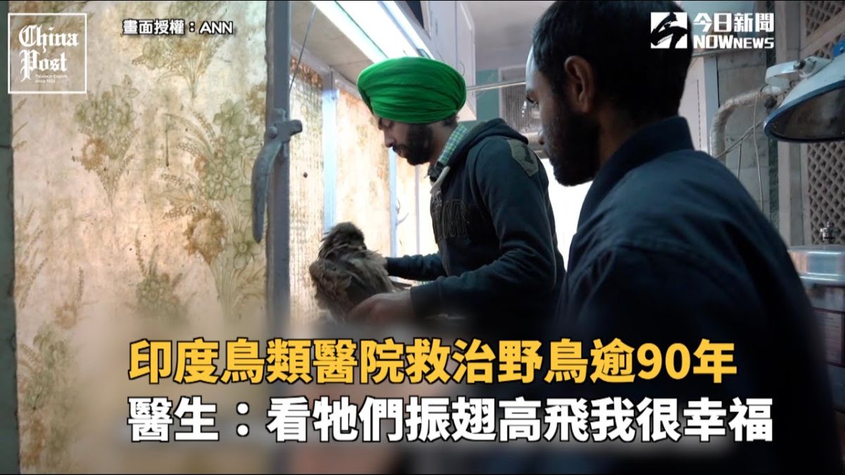 ▲在印度德里（Dehli），座落著一間古老的鳥類醫院，這間醫院在過去92年間致力於拯救鳥類生命。（圖／ANN提供）