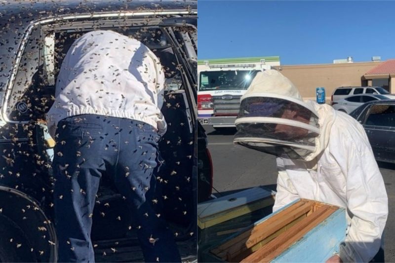 ▲消防員從車上清出了1.5萬隻蜜蜂。（圖／翻攝自《Las