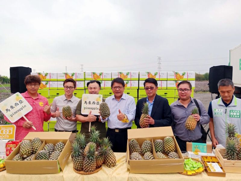 ▲屏東縣長潘孟安指出,此次將以40呎滿櫃出口外銷馬來西亞,約16.8公噸屏東鳳梨,此次訂單由馬來西亞台商總會號召,與馬來西亞台商總會東馬分會與貿易商及南荔果生產合作社促成。(圖/屏東縣政府提供,