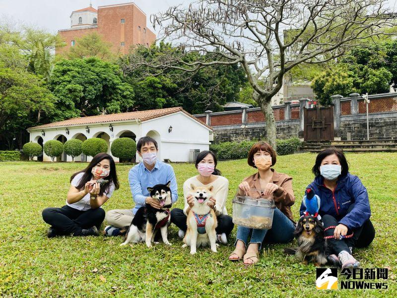 ▲新北市立淡水古蹟博物館趁國際寵物日的活動,特別開放寵物到小白宮的戶外空間,讓牠們也有機會陪伴飼主參觀古蹟。(圖/記者陳志仁攝,2021.04.06)