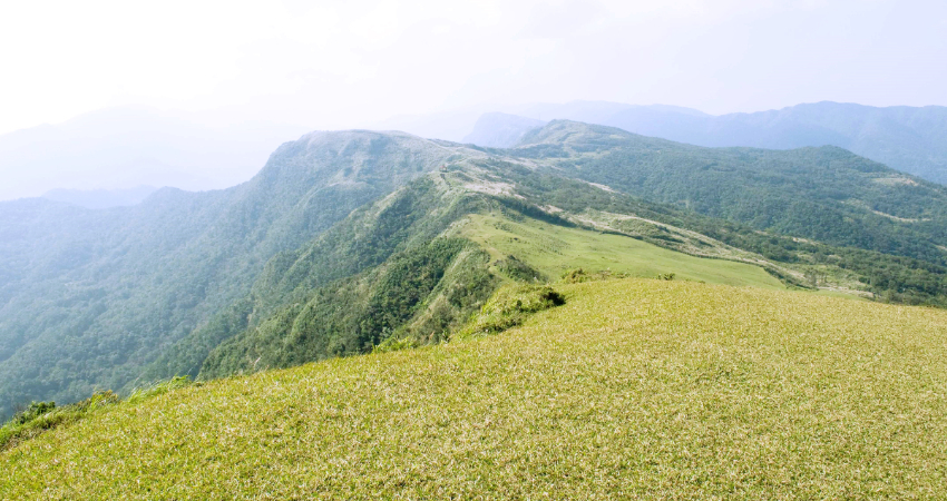 ▲桃源谷 (圖|Taipei Walker)