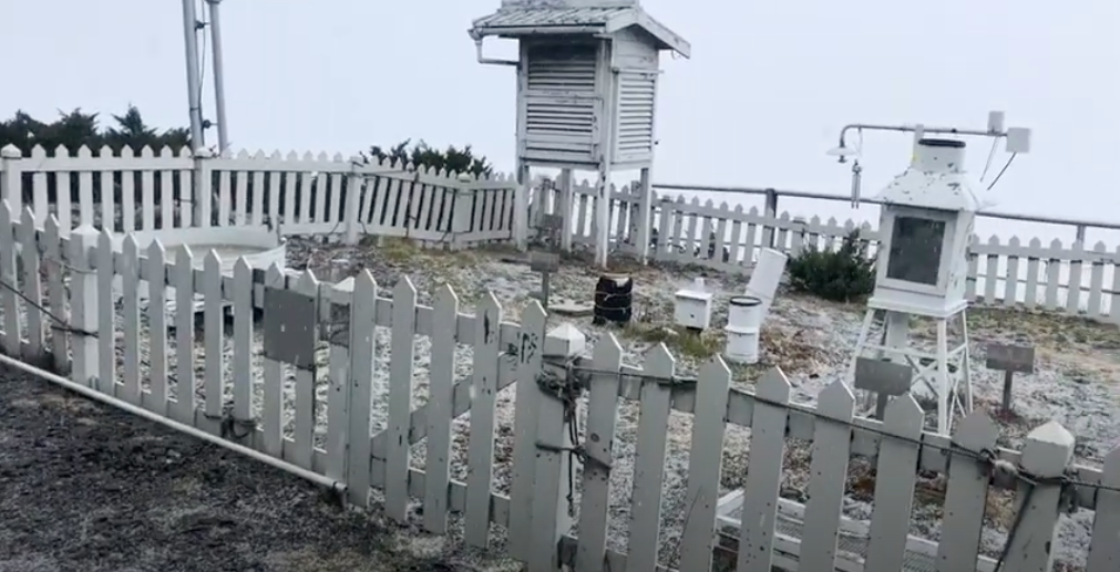 ▲受東北季風影響，玉山測站在今（10）日11時55分降下冰雹。（圖／氣象局提供）