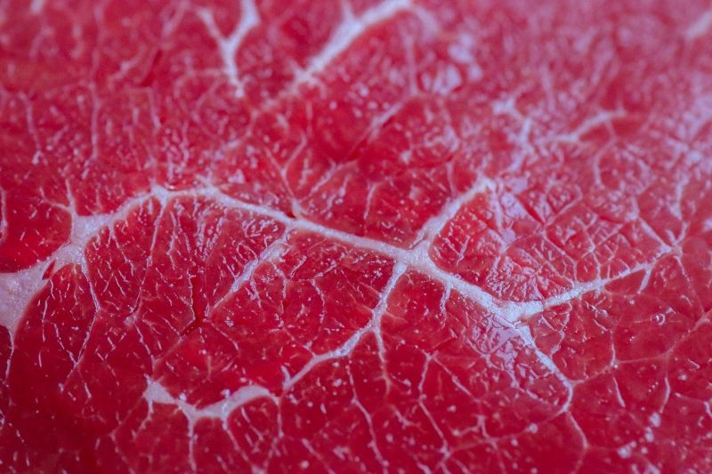 ▲如何分辨出是否為人造肉?搜狐美食專欄《小乾倩倩的遊戲的美食》就指出,留意「4大細節」,就能一眼分辨真假。(圖/取自pixabay)