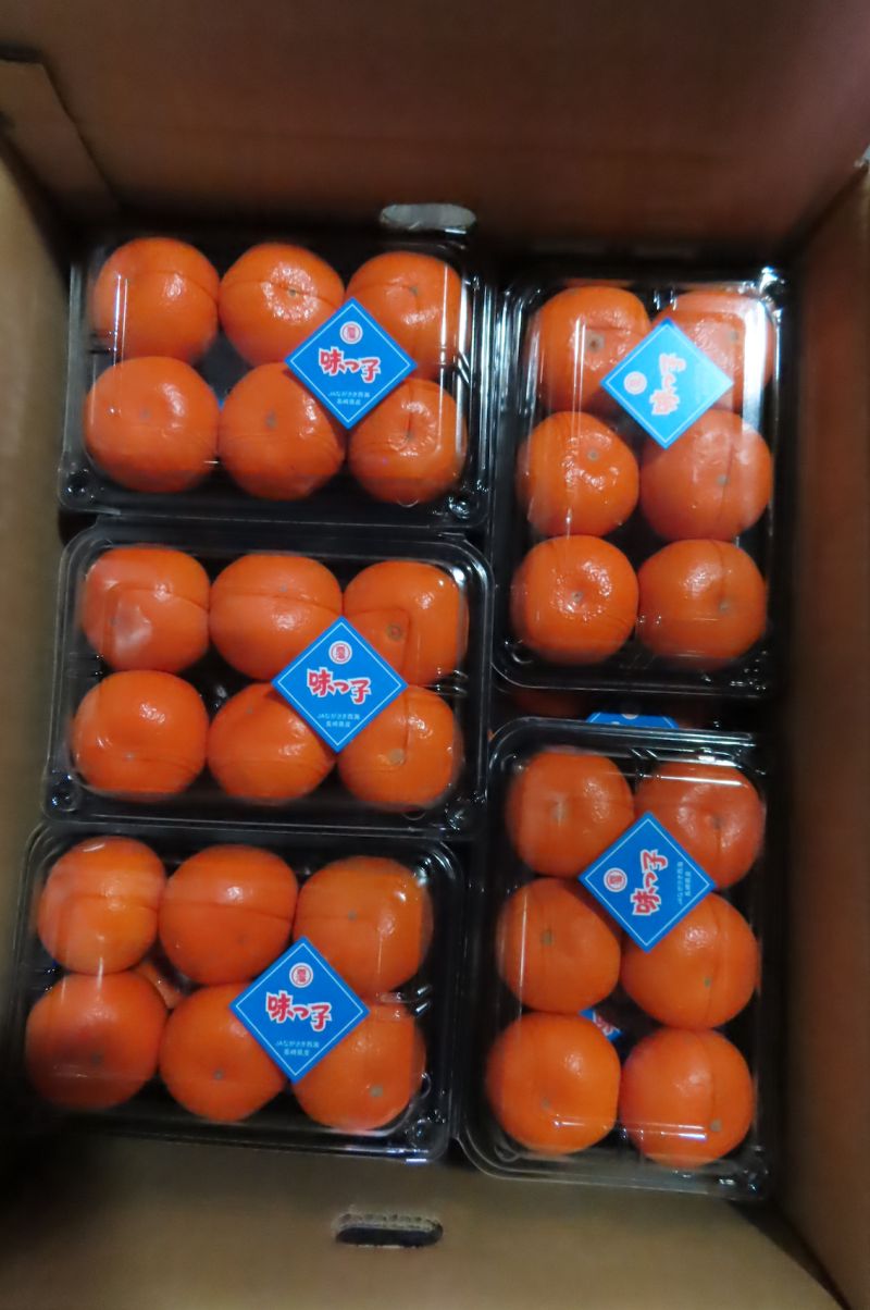 ▲日本進口鮮蜜柑遭邊境查驗不合格。(圖/翻攝食藥署網站)