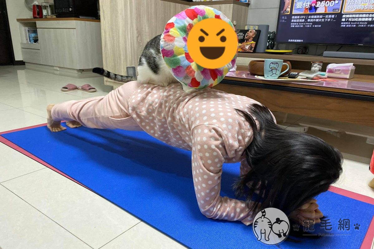 ▲網友林小姐正在練習棒式，卻被貓咪跳上背「加強訓練」（圖／粉專Mimmy & GiGi 's授權提供）