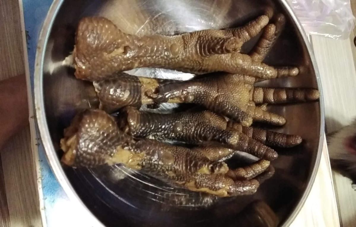 ▲有網友在夜市買雞腳，詢問大家「4隻100」的價錢合理嗎？釣出許多老饕說明。（圖／翻攝自《爆料公社公開版》臉書）