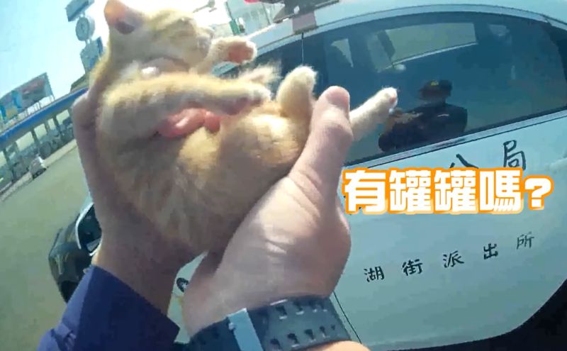 ▲要帶偶去哪裡?有罐罐吃嗎?(圖/高雄市政府警察局與湖街派出所授權提供)