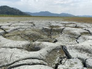台灣缺水排「全球第18」！專家：多數人不了解水資源供需
