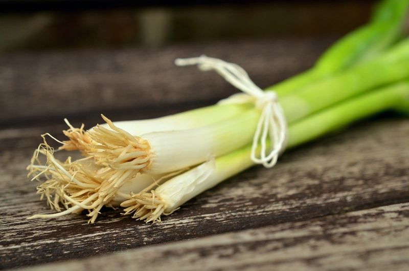 韭菜加「它」一起炒超搭!行家揭零廚藝煮法:清爽又下飯