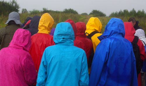 ▲有位人妻抱怨,老公「寧願淋雨回家也死不穿雨衣」,直言不懂他在想什麼,意外引發討論。(示意圖/翻攝自Pixabay) ▲有位人妻抱怨,老公「寧願淋雨回家也死不穿雨衣」,直言不懂他在想什麼,意外引發討論。(示意圖/翻攝自Pixabay)
