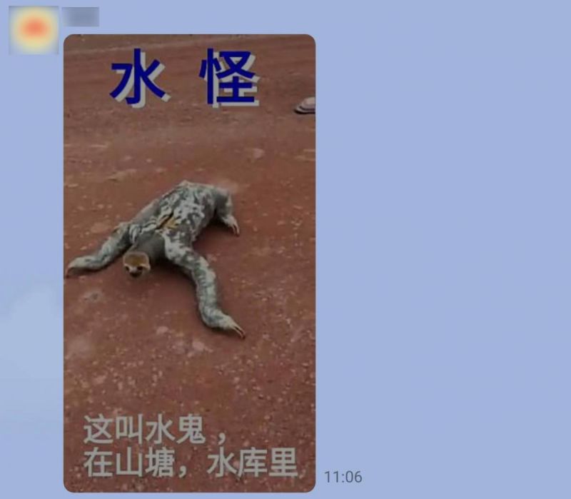 ▲社群平台和通訊軟體瘋傳一段「水鬼」影片,台北市立動物園現身闢謠。(合成圖/翻攝自台灣事實查核中心/Pixabay)