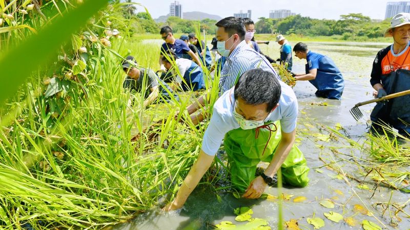 ▲副秘書長郭添貴、青年局局長張以理與志工下水清理生態池。（圖／高市府青年局提供）