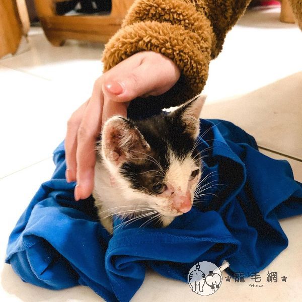 ▲加油!一定要活下來給我養!(圖/Instagram