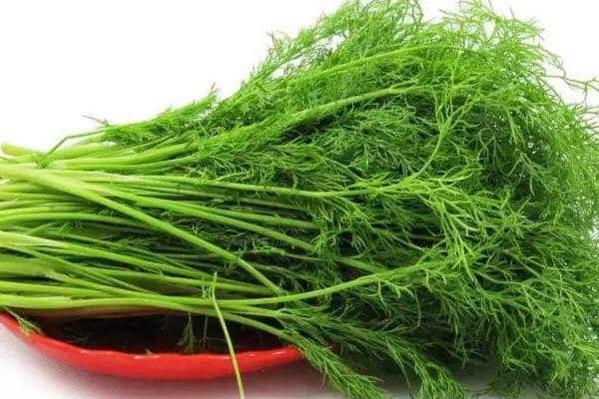 ▲不少網友無法接受茴香的重口味。（示意圖／翻攝《爆怨2公社》）