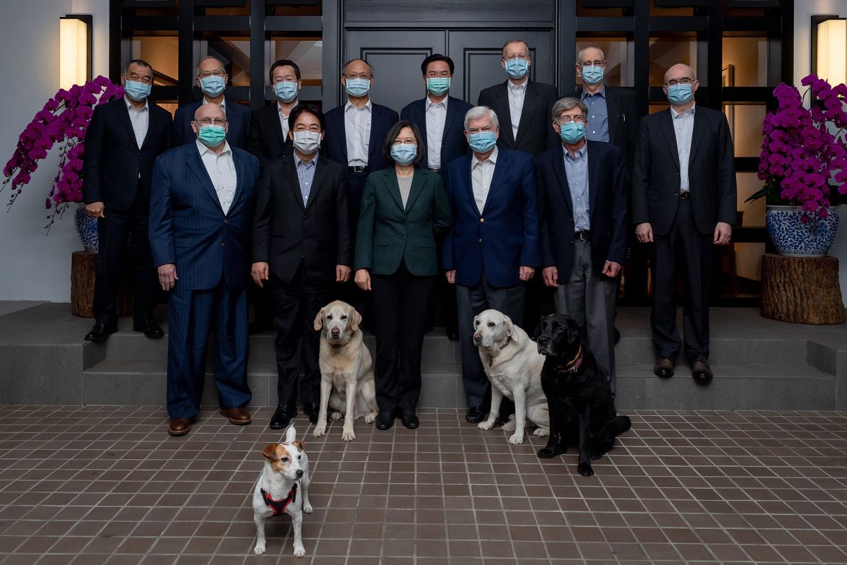 ▲蔡英文新領養的搜救犬樂樂（最前方小狗），在美國總統拜登好友團，陶德來台，官邸晚宴後大合照露臉（圖/蔡英文臉書）