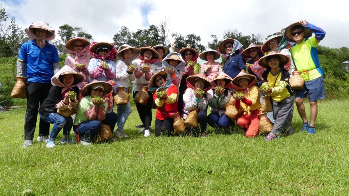 ▲農業局將於5月26、27日、6月3日舉辦理金山小旅行，5月28日、6月5日舉行貢寮雙溪小旅行，即日起開放報名。（圖／新北市政府農業局提供）