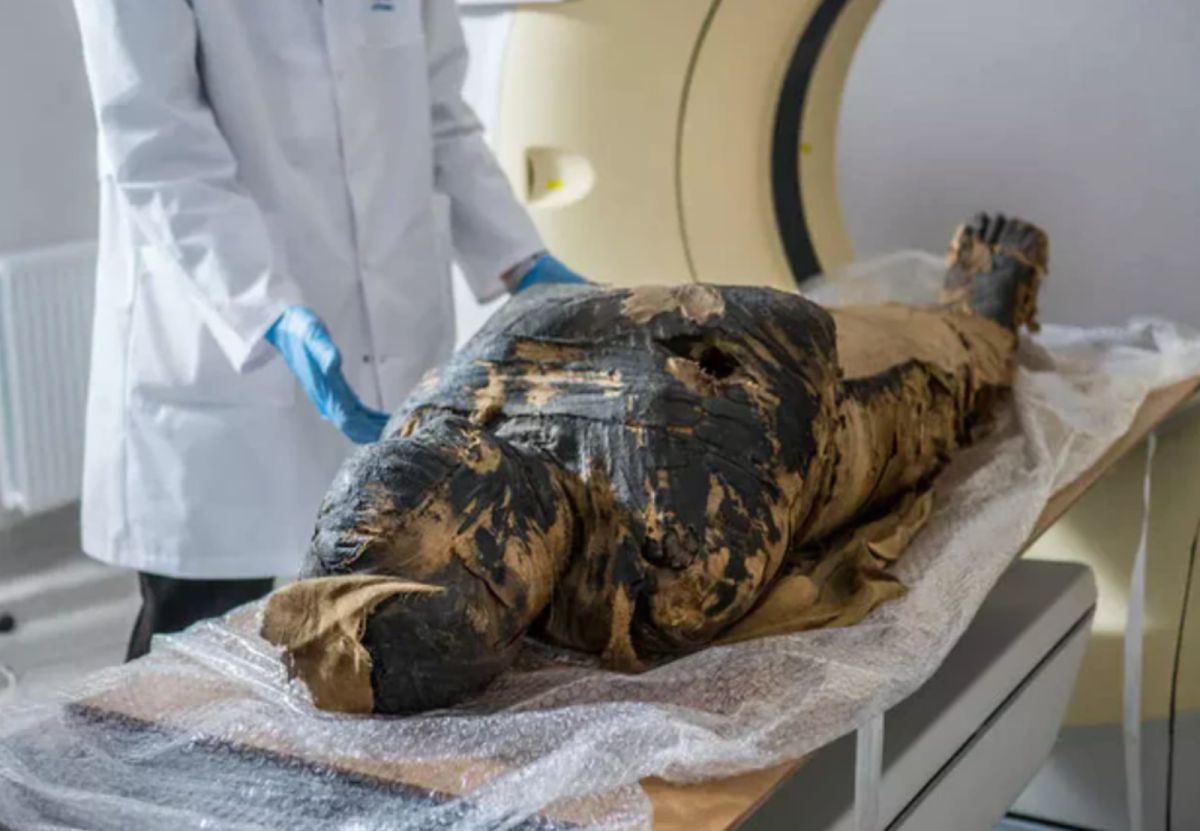 ▲波蘭科學院近日發表報告，聲稱發現全球第一具懷孕木乃伊。（圖／翻攝自法新社）