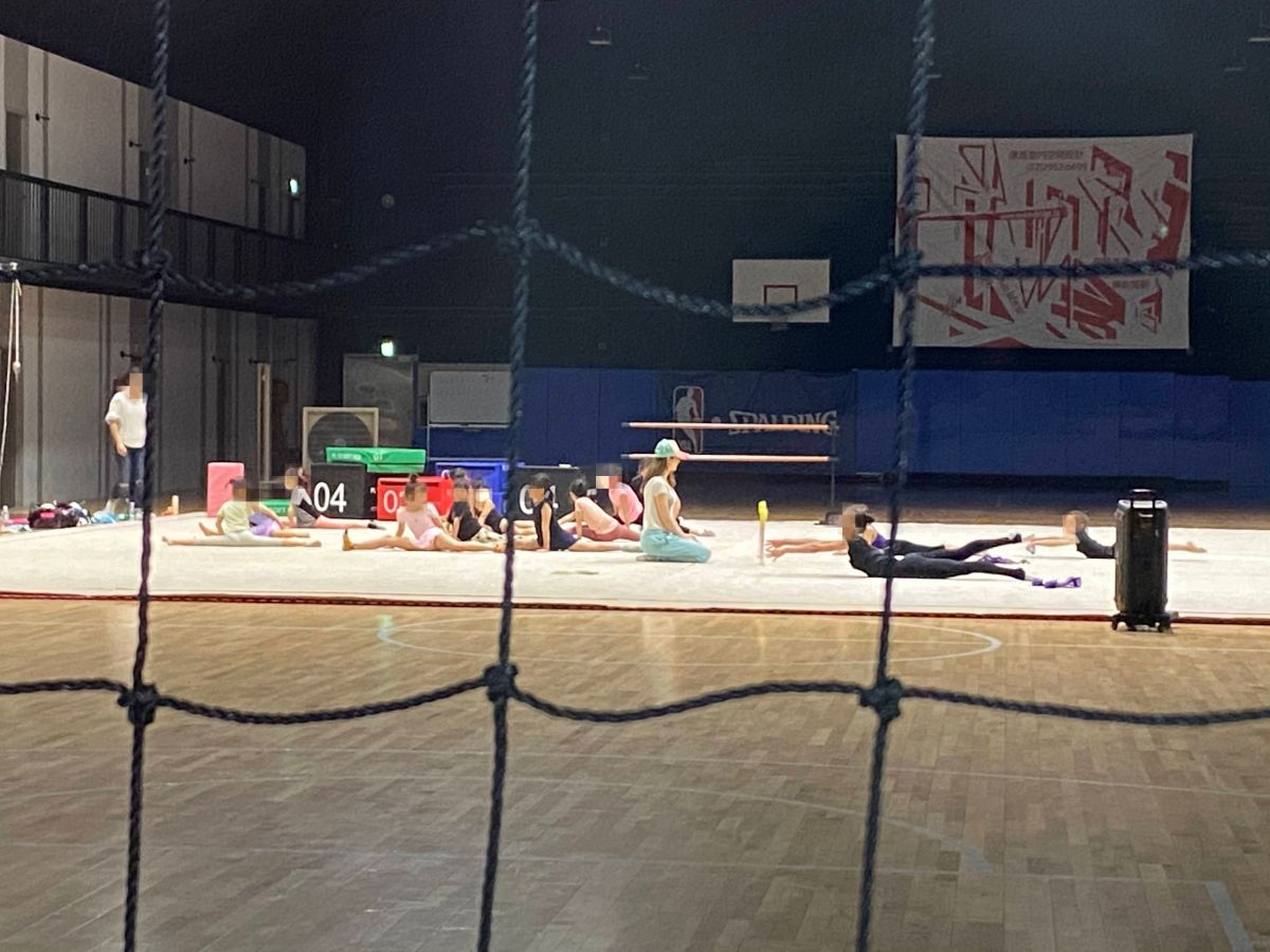 ▲藝人瑞莎近日遭人指控空降韻律體操界，有位網友分享瑞莎指導韻律體操現場照，發文力挺瑞莎。（圖／翻攝自批踢踢）