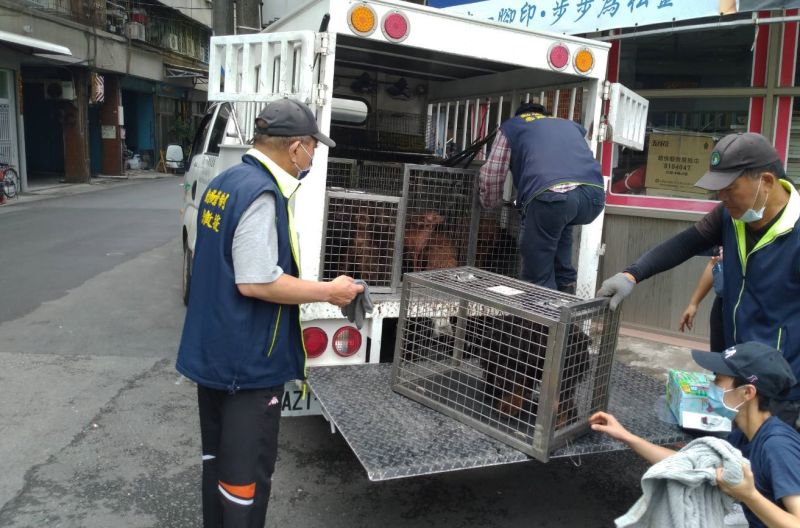 ▲動保處沒入非法養殖場所有的犬隻。（圖／記者鄭婷襄攝，2021.04.30）