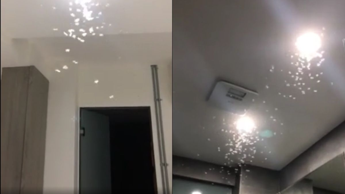 ▲有網友發現租屋處牆壁常傳出怪聲，一年後殘發現兇手是白蟻。（圖／翻攝Dcard）