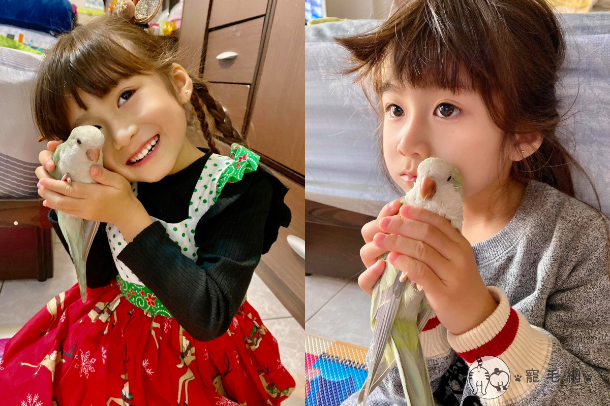 小萌妹溫柔「臉撸鸚鵡」示愛，畫面可愛到冒泡！（圖／網友May Hsu授權）
