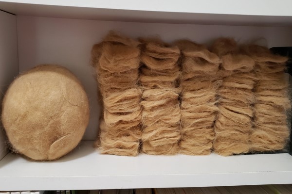 推主曬自家橘貓四年的廢毛量　網驚：以為是豆包！