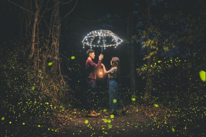 ▲As the firefly season in Taiwan approaches, make sure you visit these top 3 “fairy-tale-like” destinations! (Photo courtesy of @plant_hui/Instagram)