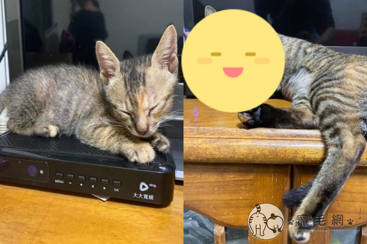 網友劉先生控訴機上盒「才幾個月就縮水」！（圖／網友劉展均授權提供）