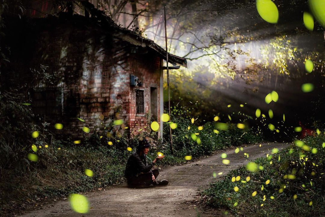 ▲Every year, when the firefly season approaches, locals trek through the woods to observe thousands of fireflies fluttering in the dark at Lianhuachi. (Photo courtesy of @chun_vision/Instagram)
