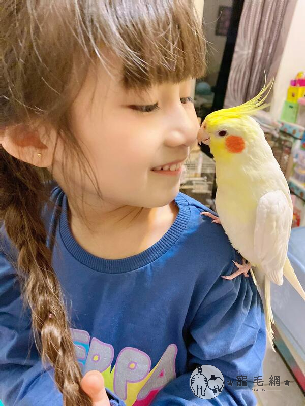 影／小萌妹「臉撸鸚鵡」示愛　牠一臉放棄鳥生：妳開心就好