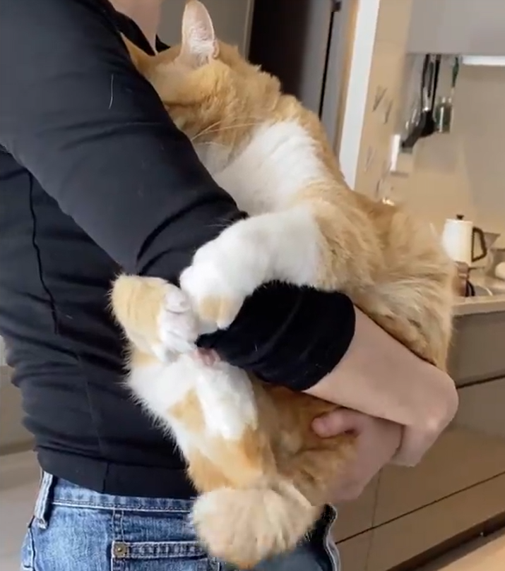 Gupi:人類~你知道我愛你吧?!(圖/Instagram@ gupitaro)