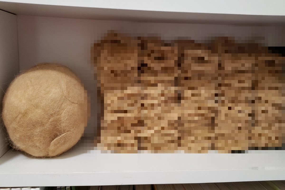 日本一名飼主蒐集四年的貓毛，乍看以為是豆包！（圖／twitter @manimu_）