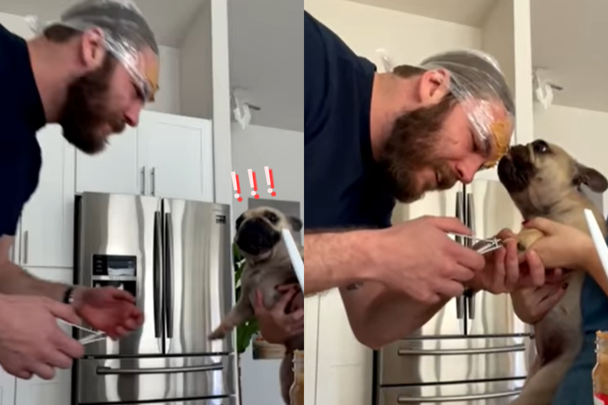 為剪狗狗指甲，男子祭出特別招數！（圖／Facebook＠ Brandon Baker）