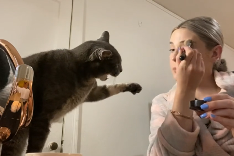 貓咪伸手阻止媽媽化妝。（圖／TiKTok@ kaileemccown_）
