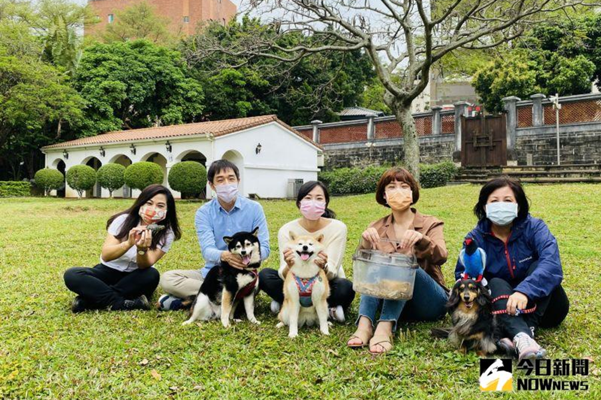 新北市立淡水古蹟博物館趁國際寵物日的活動，特別開放寵物到小白宮的戶外空間，讓牠們也有機會陪伴飼主參觀古蹟。（圖／記者陳志仁攝，2021.04.06）