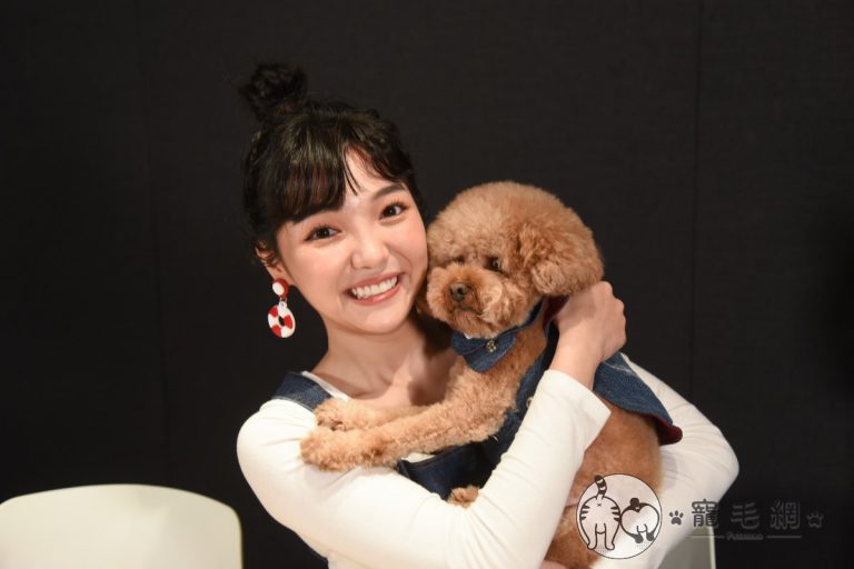 何美開朗面對愛犬「網美腳」疾病！暖曝：只要真心愛狗狗就不會放棄牠
