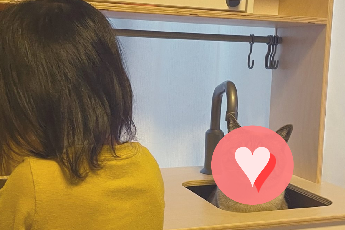 玩具廚房水槽長出貓咪，乍看之下體型超大！（圖／Twitter＠ ohji723）