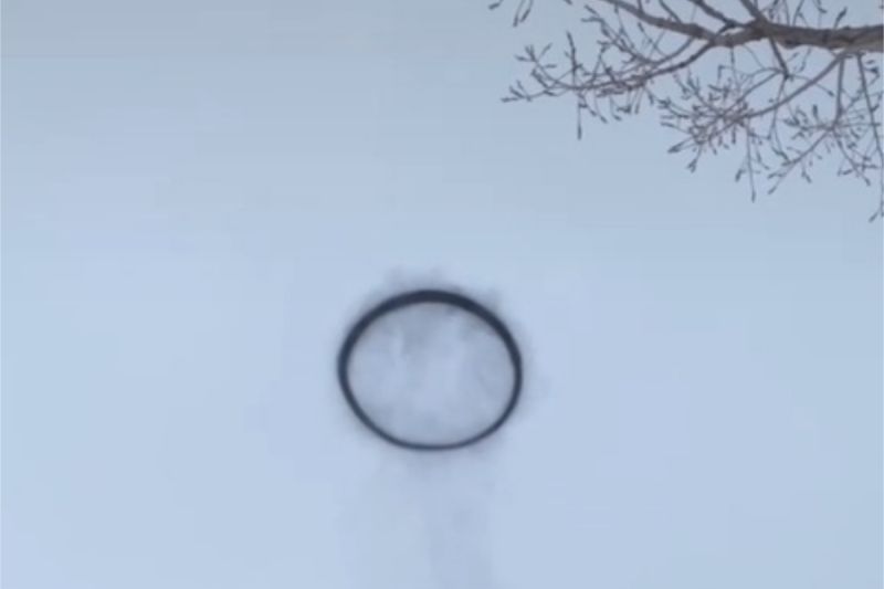 有網友發現，天空中竟出現一個詭異黑色圓圈，讓她看了十分驚恐。（圖／翻攝自《@farmmommalife》TikTok ）