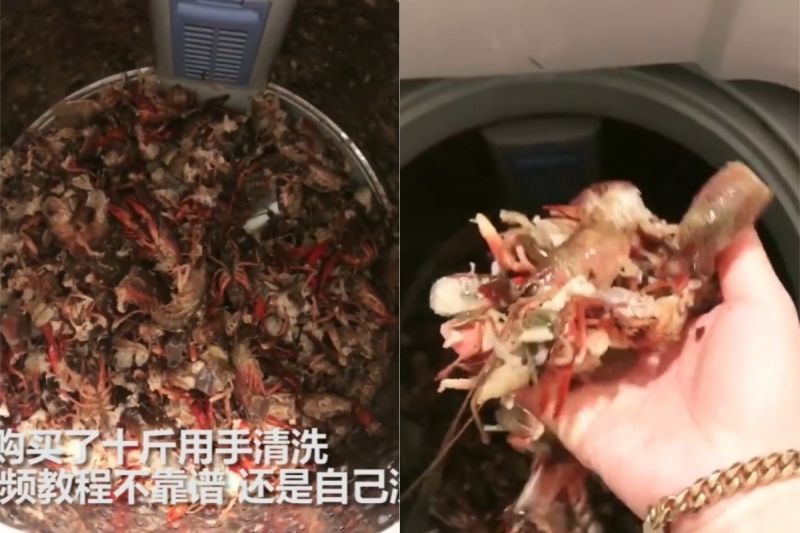 ▲周女打開洗衣蓋一看,發現裡頭的小龍蝦都被甩乾、甩碎成渣了,甚至還因此毀了一台洗衣機。(圖/翻攝自《燃新聞》