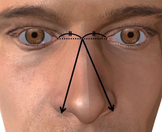 ▲日本京都府立醫科大學研究發現，鼻子較大的男性，更可能擁有較長的陰莖。（圖／翻攝Basic