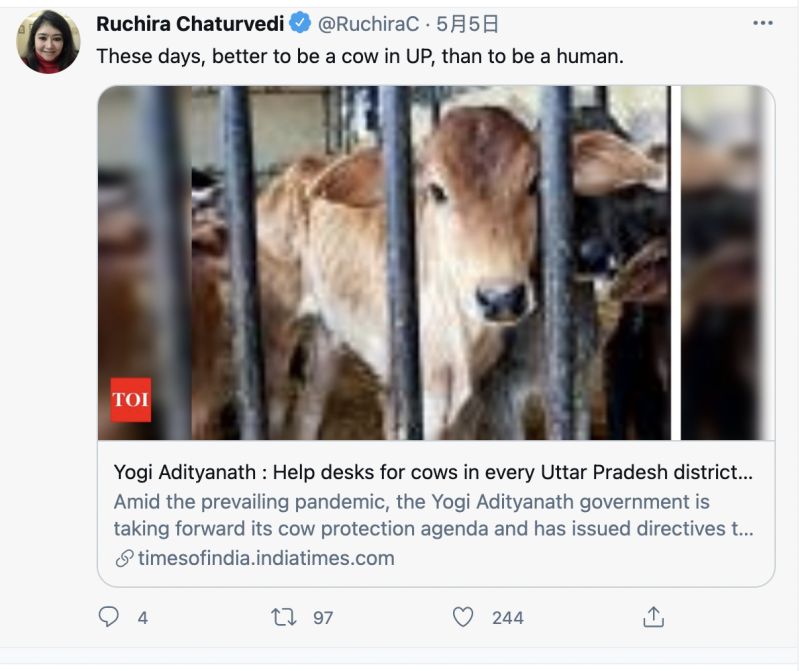 ▲北方邦政府在牛收容所廣設血氧儀跟熱像儀，讓印度官員恰圖維迪在推特上大罵「當牛比較好」。（圖／翻攝自恰圖維迪推特）