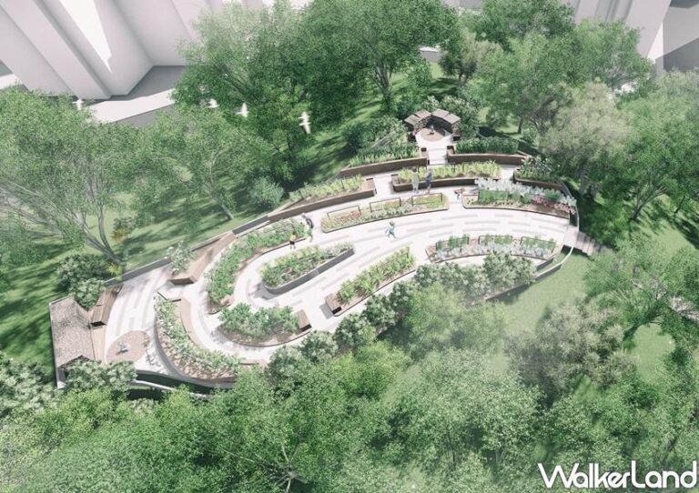 ▲森林公園中規劃了五個主題，位於入口處的「綠影之丘」用大量的蕨類植物打造步道。（圖／Taipei