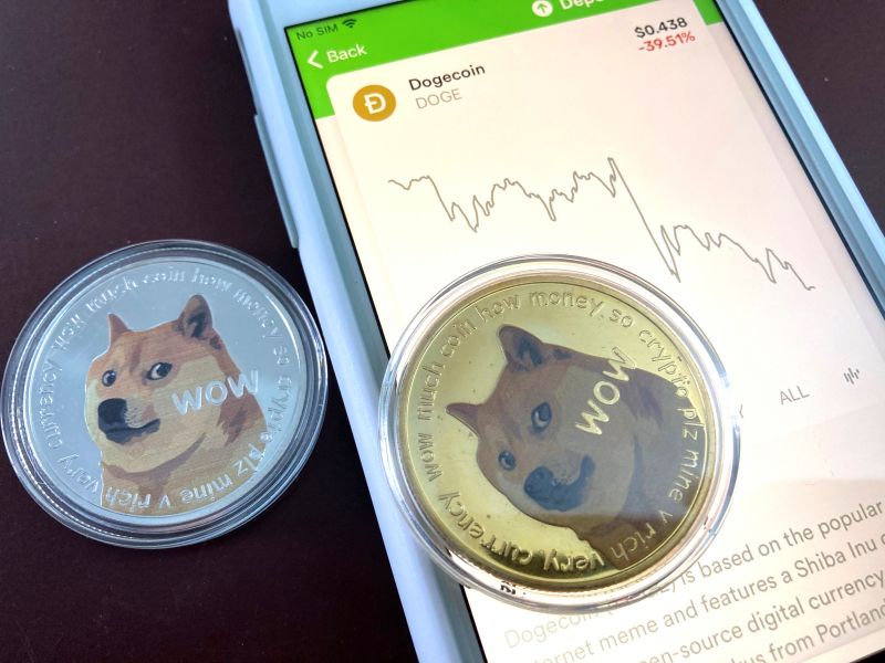 馬斯克力捧！明年DOGE-1登月任務　接受狗狗幣付款
