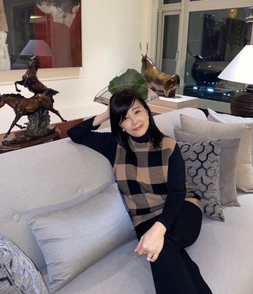 ▲何念慈被譽為「凍齡美魔女天花板」，她和元大證券創辦人孫道存有一段婚姻，2010年再嫁相識多年的美國電子業大亨田力行。（圖／翻攝自孫芸芸IG＠aimeeyunyunsun）