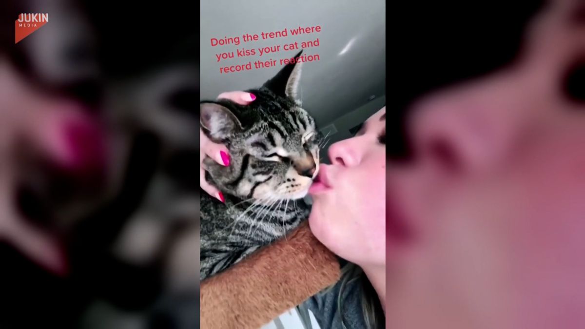 ▲ 鏟屎官與貓主子索吻，霸王硬上弓卻換來絕情一咬。（圖／美聯社 AP ／ Jukin Media）