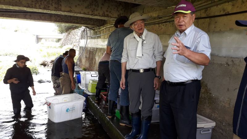 乾旱少雨危及台灣白魚生存　中市府救援移地畜養
