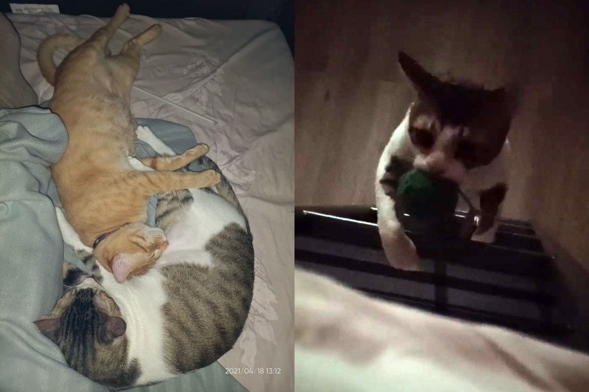 ▲黑夜中雙層床樓梯突然傳出詭異上樓聲，讓女子半夜驚醒！（圖／網友范范授權提供）