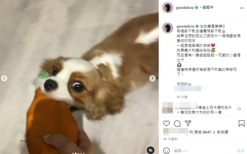 ▲愛莉莎莎先前形容萬華是毒窟,引發爭議後她也將內文改掉。(圖/愛莉莎莎IG)