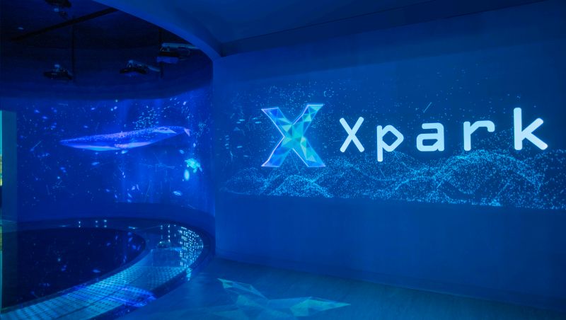 Xpark緊急宣布閉館　退票可與KKday客服聯繫
