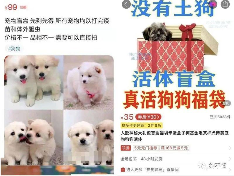 ▲(圖/翻攝自中國網購平台)